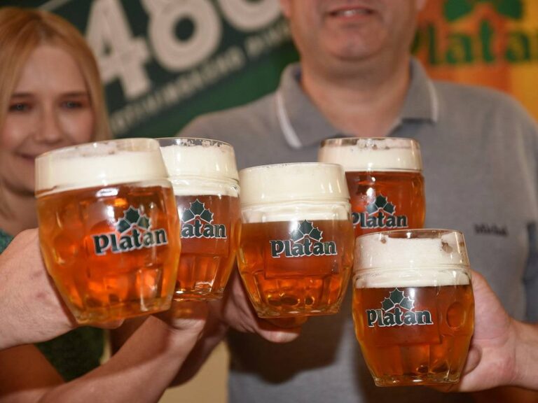 Pivovar Platan slaví 480 let. Pro milovníky piva navařili sládci nový výroční ležák