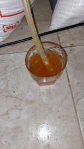PXL_20201127_121208256_compressed